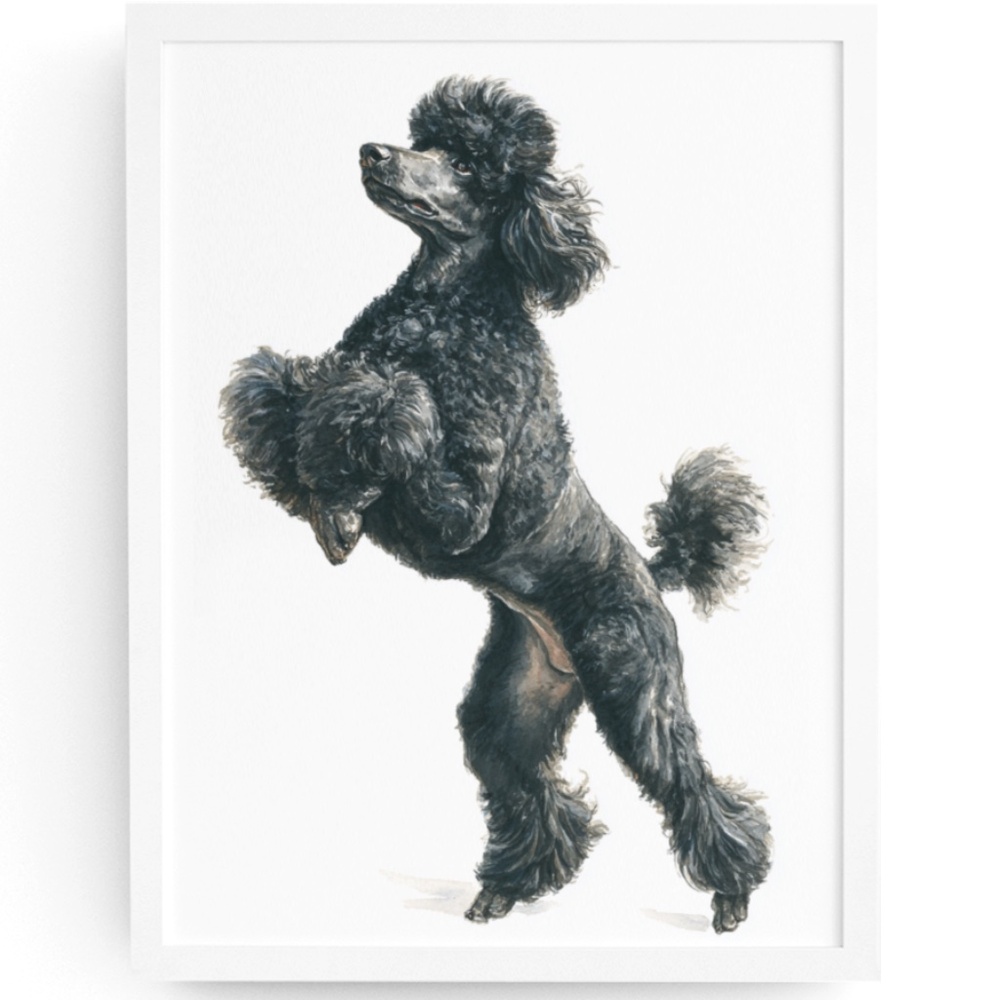 Watercolor Black Poodle Portrait Wall Art Print Poster, Unframed - Pet Artwork